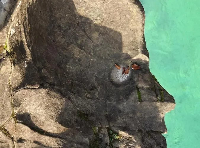 Appartement Apartma V&t *